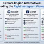 Imginn alternatives