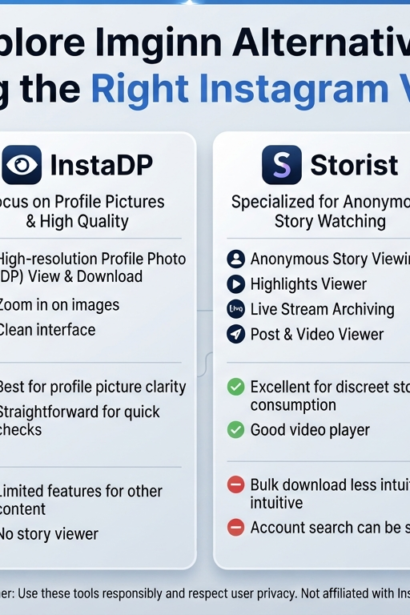 Imginn alternatives