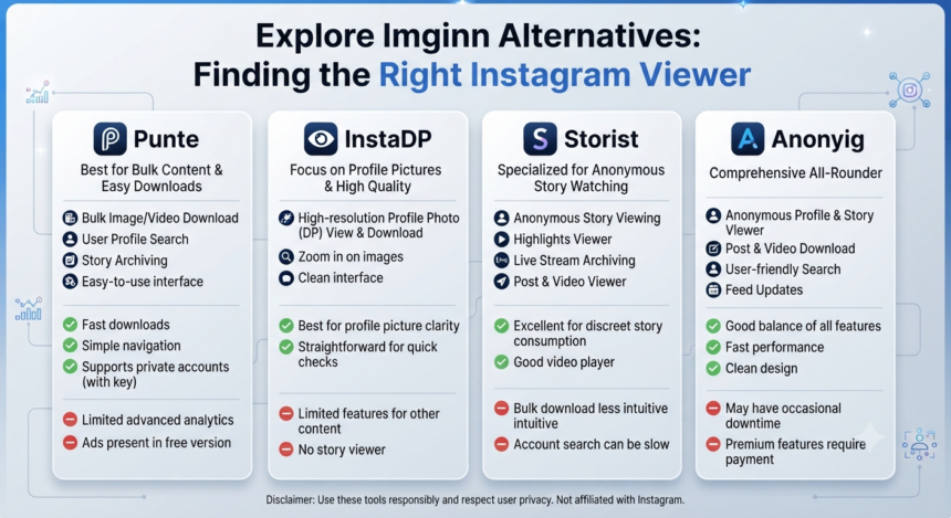 Imginn alternatives