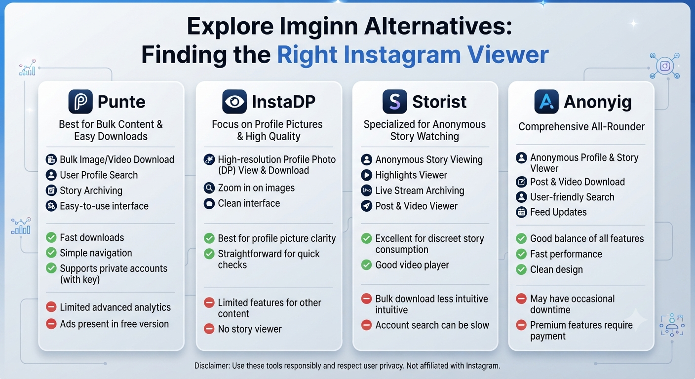 Imginn alternatives