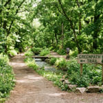 Greenpathbk.com