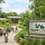 Trippgreen.com
