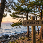 Cemara77jp.online -